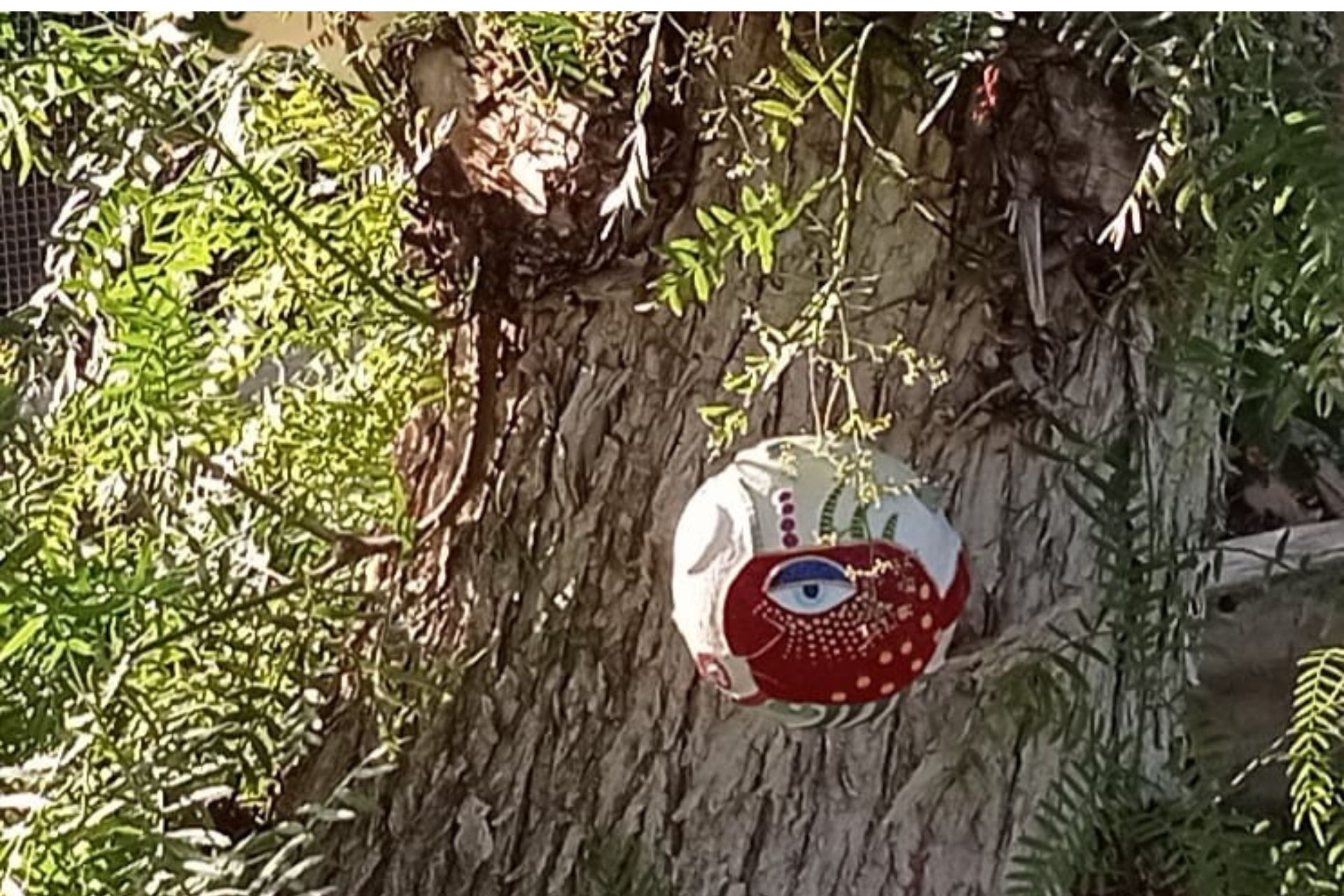 Bola 12cm Pez interesante - Imagen 4