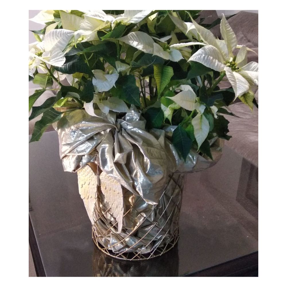 Alas de ángel tallada oro viejo - Imagen 5